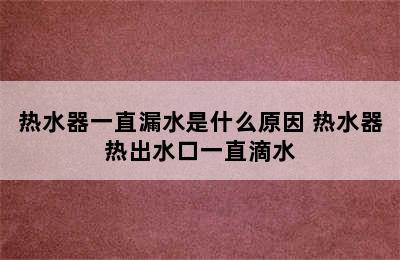 热水器一直漏水是什么原因 热水器热出水口一直滴水